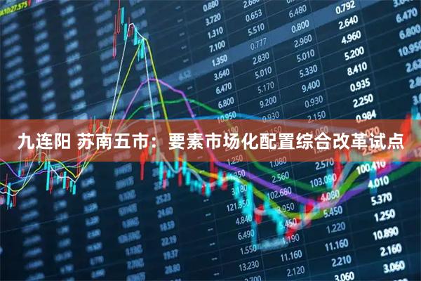 九连阳 苏南五市：要素市场化配置综合改革试点