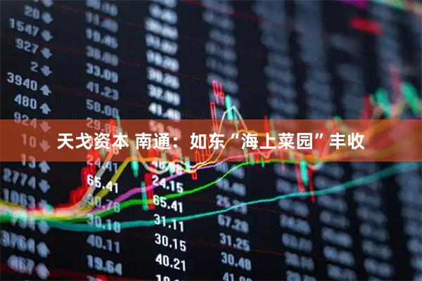 天戈资本 南通：如东“海上菜园”丰收