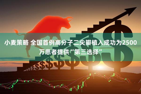 小麦策略 全国首例高分子二尖瓣植入成功为2500万患者提供“第三选择”