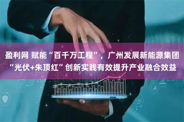 盈利网 赋能“百千万工程”，广州发展新能源集团“光伏+朱顶红”创新实践有效提升产业融合效益