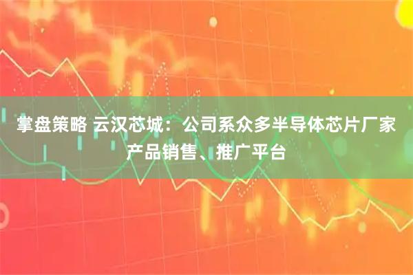 掌盘策略 云汉芯城：公司系众多半导体芯片厂家产品销售、推广平台