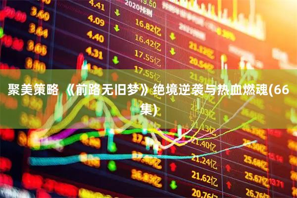 聚美策略 《前路无旧梦》绝境逆袭与热血燃魂(66集)