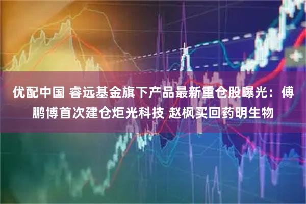 优配中国 睿远基金旗下产品最新重仓股曝光：傅鹏博首次建仓炬光科技 赵枫买回药明生物