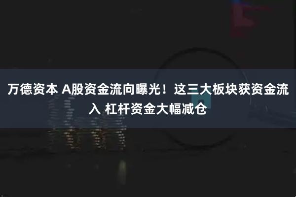 万德资本 A股资金流向曝光！这三大板块获资金流入 杠杆资金大幅减仓